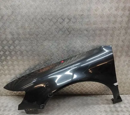 Volkswagen Phaeton Fender 3D0821021J