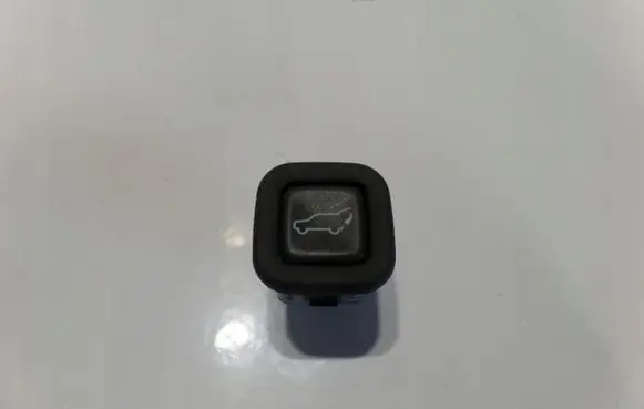 Cadillac Escalade Tailgate/trunk/boot open switch 15211504