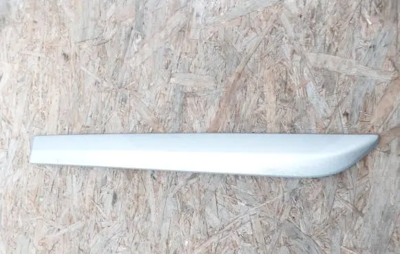 Rear door trim (molding)