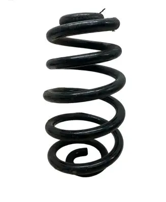 Audi A4 S4 B6 8E 8H Rear coil spring
