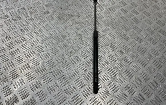 Opel Insignia A Tailgate/trunk strut/damper 13332570