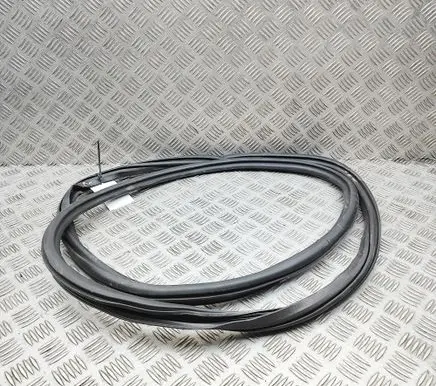 Audi RS6 C8 Rubber seal front coupe door 4K0831721