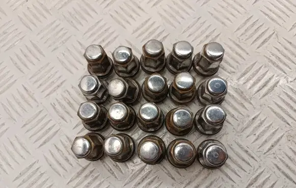 Nuts/bolts