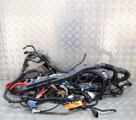 Tesla Model Y Other wiring loom 248905807B