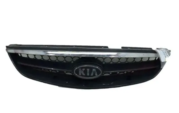 Front bumper upper radiator grill