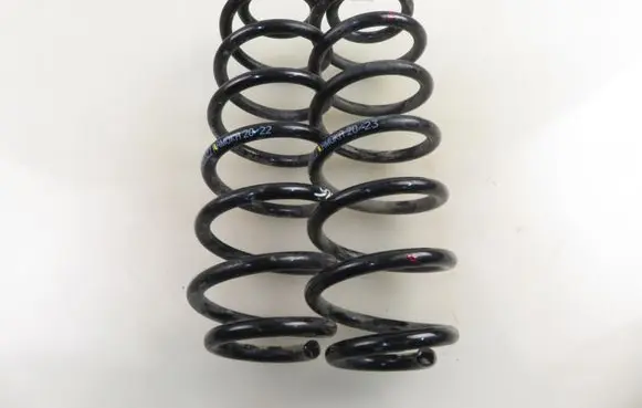 Rear coil spring