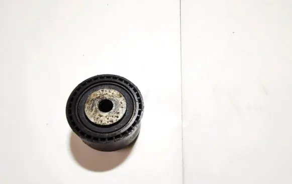 Peugeot 307 Belt tensioner pulley 