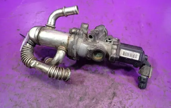 Fiat 500 EGR valve 
