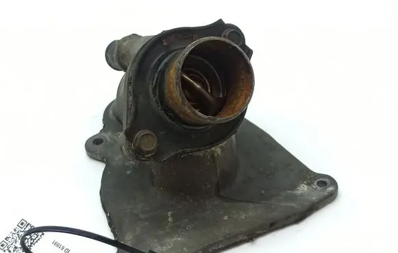 Thermostat/thermostat housing