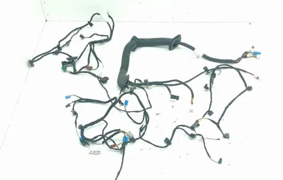 Front door wiring loom