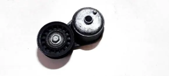 Fiat Punto (188) Generator/alternator belt tensioner 5632697 12561094