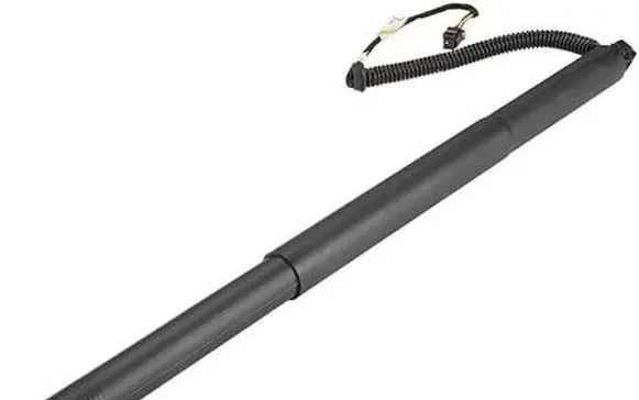 Tailgate strut