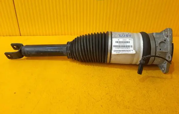 Audi A8 S8 D3 4E Rear shock absorber/damper 4E0616001N