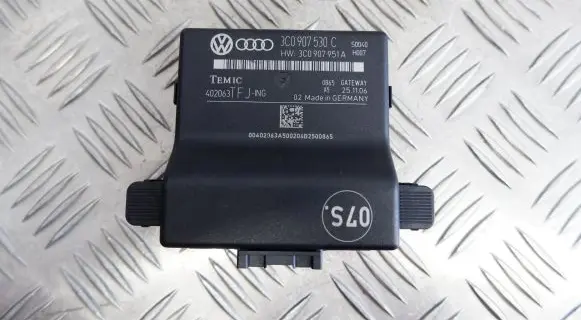 Volkswagen PASSAT B6 Gateway control module 3C0907530C
