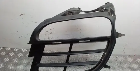 Front fog light trim/grill