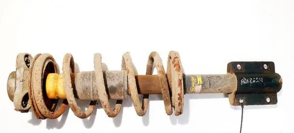 Citroen Jumper Front shock absorber/damper v4501