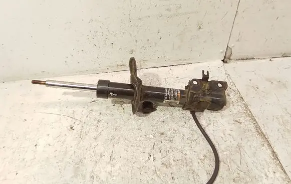 Nissan Qashqai+2 Front shock absorber/damper 54303BR20A 824903008007