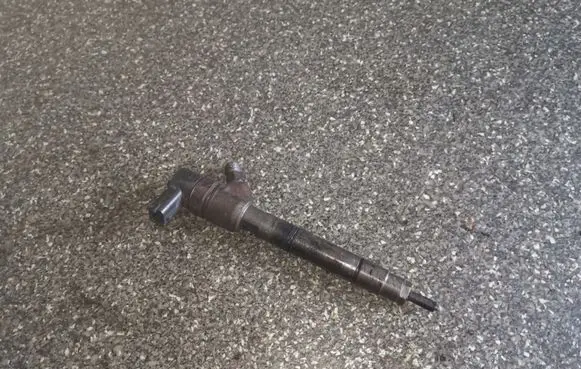 KIA Picanto Fuel injector 0445110256 338002A400