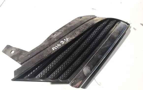 Front bumper lower grill