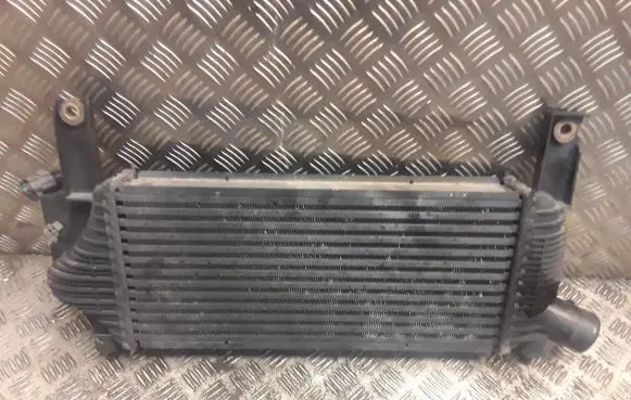 Nissan Pathfinder R51 Intercooler radiator 14461EB360
