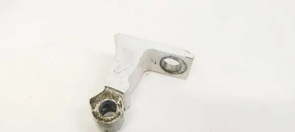 Rear door lower hinge