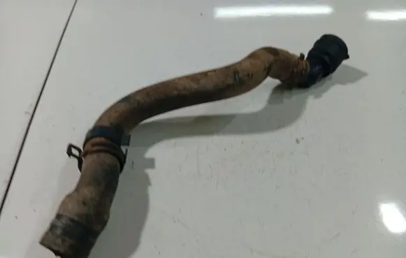 Renault Scenic I Engine coolant pipe/hose