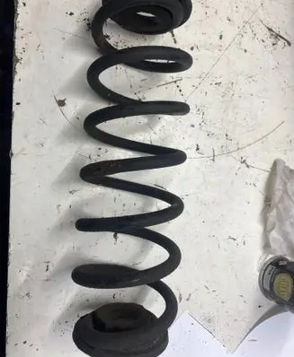 Rear coil spring