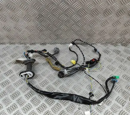 Front door wiring loom