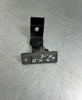 BMW X5 F15 Rear door lower hinge 7325053