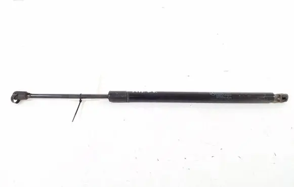 Tailgate strut