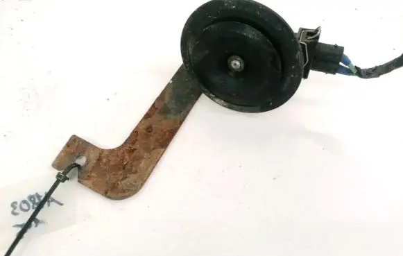 Volkswagen Touareg I Horn signal E6007524