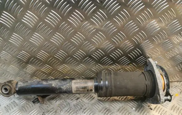 BMW X5 E70 Rear shock absorber/damper 6781931