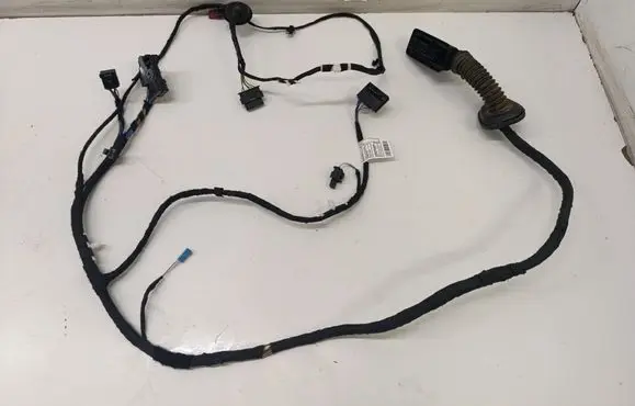 Front door wiring loom