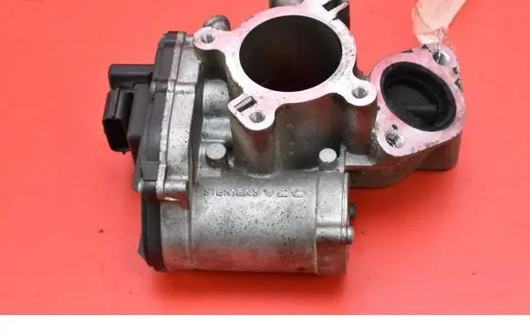 EGR valve