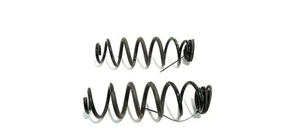 Rear coil spring