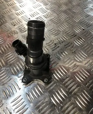 Thermostat/thermostat housing