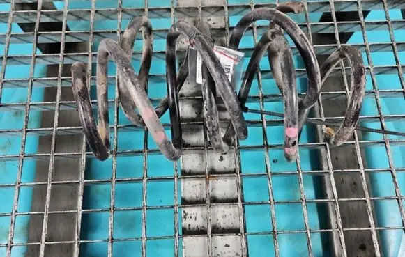Dacia Sandero Front coil spring IMPRK1379291