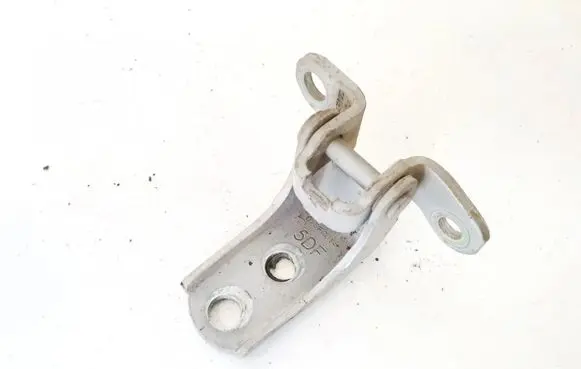 Rear door lower hinge