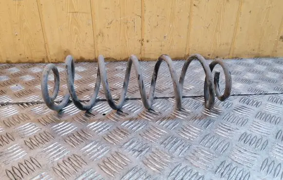 Rear coil spring