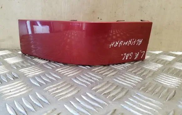 Rear/tail light trim molding