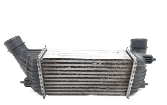 Fiat Scudo Intercooler radiator E5542007