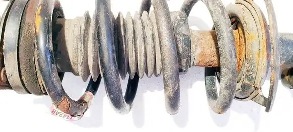 Front coil spring
