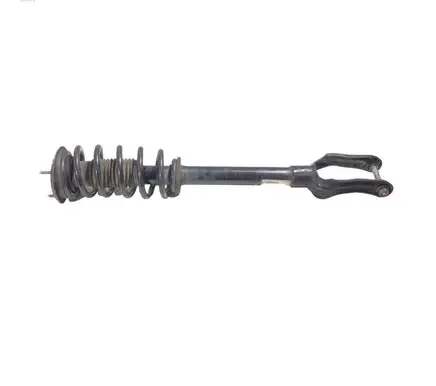Dodge Durango Front shock absorber with coil spring 68029501AE 1A14973A P05168200AB
