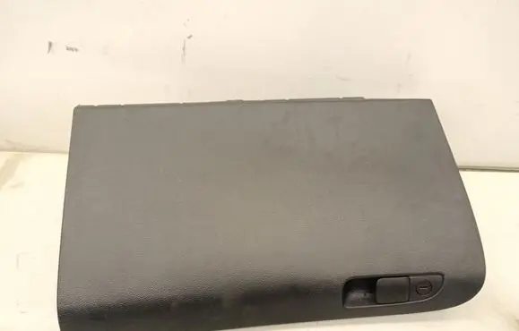 Dodge Charger Glove box 113JN207VX