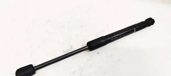 Tailgate/trunk strut/damper
