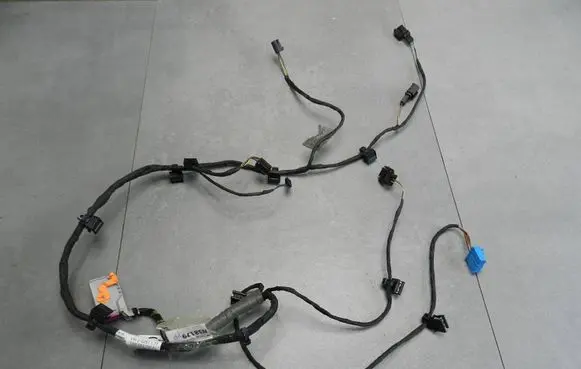 Volkswagen Phaeton Front door wiring loom 3D1971121F