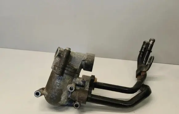 Thermostat/thermostat housing