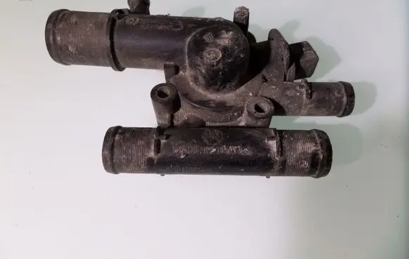 Thermostat/thermostat housing