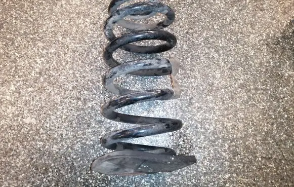 Buick Encore I Rear coil spring 95174968