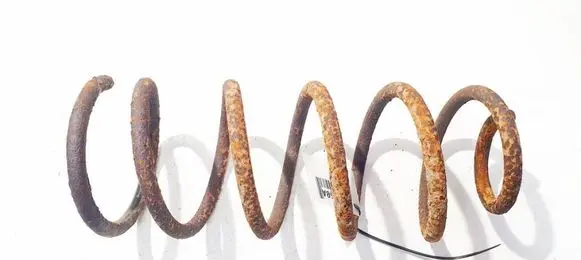 Rear coil spring